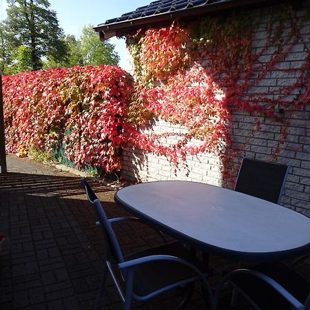 הרדקה Ferienwohnung Im Gruenen Mit Terrasse Wf מראה חיצוני תמונה